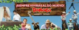 Panaca